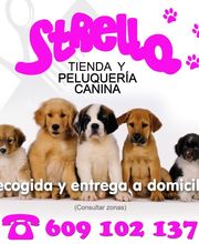 strella-peluqueria-canina-1.jpg