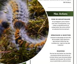NOCIBILIS Désinfection Sàrl Bild 8