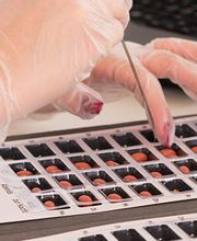 Aare-Apotheke Rombach Bild 3