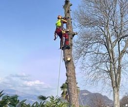 Carlo Bagutti Giardiniere Bild 12