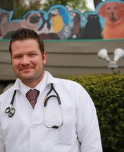 Borash Veterinary Clinic image 2