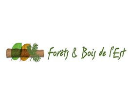 FORÊT D'ICI image 2