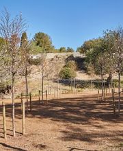 Cementiri Les Pruelles Sitges imagen 4