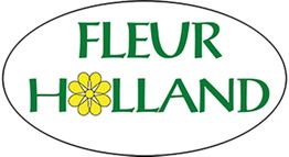 Fleur-Holland Blumen