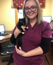 Manchester Veterinary Clinic image 12