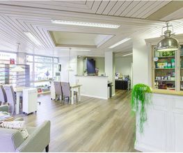 Sehstern Optik GmbH (Berikon) Bild 1