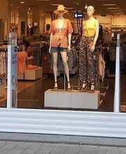 Christopher Maack der Mückengittermacher Bild 6