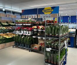 Lidl Bild 2