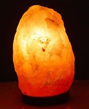 Broad Brook Gardens image 2