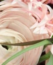 DOFLORES Annette Reich Bild 4