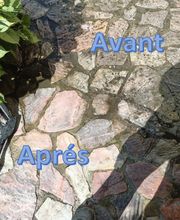 SPservices image 5