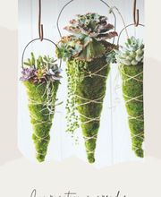 Service des fleurs image 5