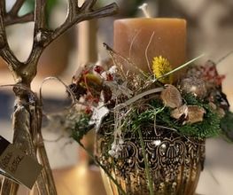Blumen Candinas / Fluras Candinas Bild 13