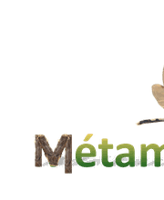 MétamorFozes - Bilan de Compétences -Coaching - Psychopraticienne - DISC - Formation - image 4