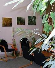 Bestattungen Amoroso Bild 2