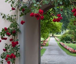 Klinik Schloss Mammern AG Bild 6