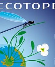 Ecotope Flore-Faune image 2