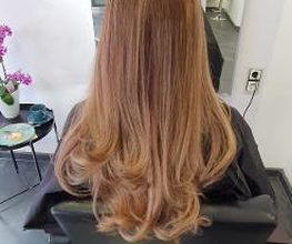 Royal Cuts Bild 8