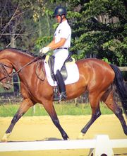 Centre Equestre de Mijanda image 2