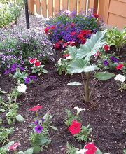 The Rite Place image 17