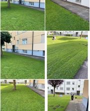 HRG Hauswartung - Reinigung - Gartenunterhalt Bild 8