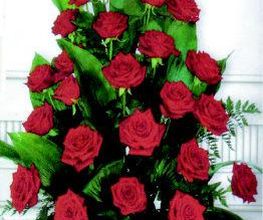 Rose Flor imagen 6