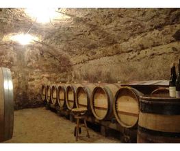 Marsanne Jean Claude image 3