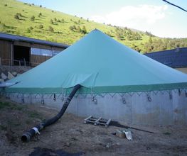 Sellten image 2
