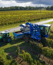 Vignobles Gabard image 7