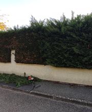 Haut Fil des branches image 13