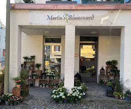 Martin's Blumenwelt Bild 9