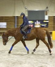 Ponte F SARL image 15