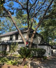 Prestige Tree Service Inc. image 2