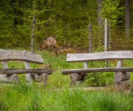 FriedWald Weilrod Bild 7