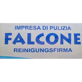Falcone Impresa di Pulizie logo