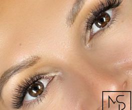 MS Lashes and Brows Bild 7