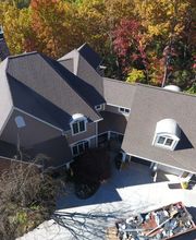 Division Kangaroof image 2