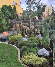 BRÜHWILER-GARTENBAU, BAUMPFLEGE Bild 8