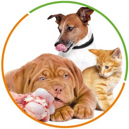 Barferquelle