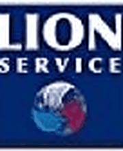 Lion Service image 3