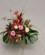 Gartencenter A-Z Velbert GmbH Bild 7