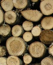 Schäuble Bodenbeläge GmbH Bild 1