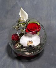 La Maison de Rosa image 3