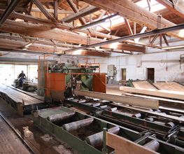 Habelitz Holz Bild 7