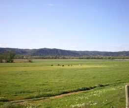 Les Ecuries D'aurabelle image 8