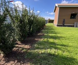 Landschaftspflege & Gartenbau Manuel Alten Bild 10