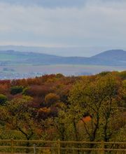Herbstlicher Ausblick am Rande des FriedWald-Standorts
