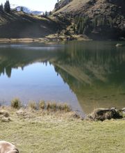 Hotel Restaurant Spillgerten Bild 4