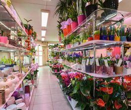 Le Langage Des Fleurs image 6