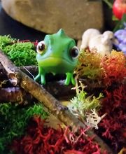 Michael Kugler Bild 5